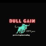 bull gain logo